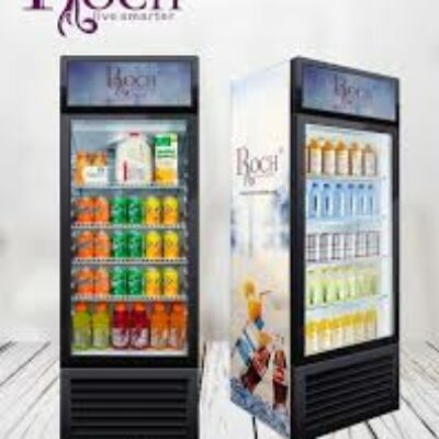 REFRIGERATEUR ROCH VITRINE RSF-420SE-O